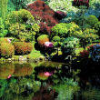 Tranquil Garden